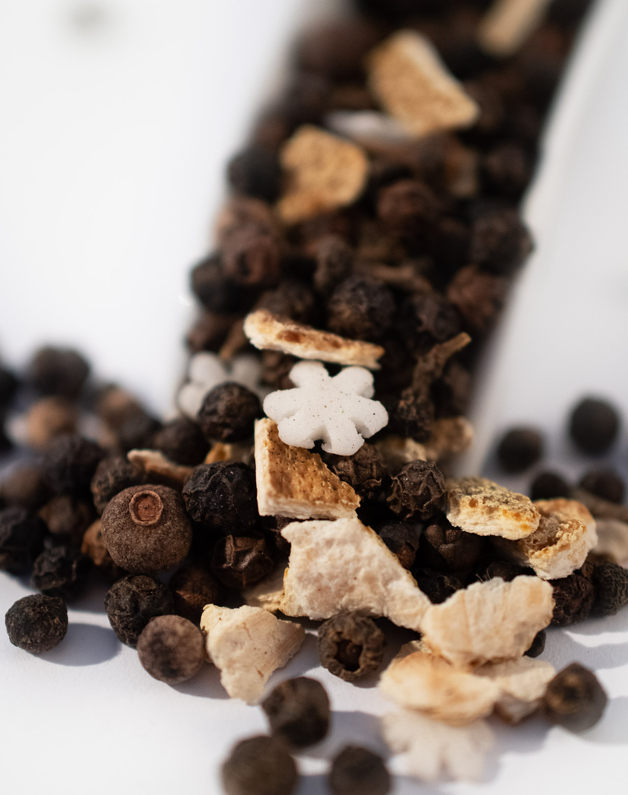 Winterpfeffer Winterpfeffer