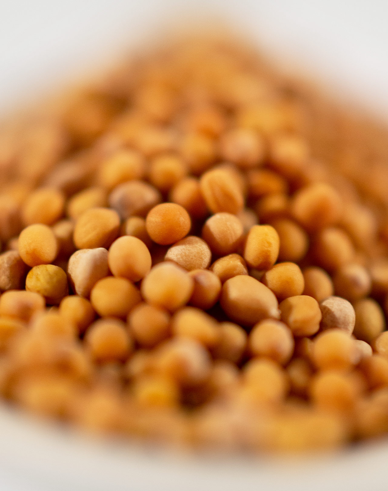 Senfkörner gelb Senfkörner gelb