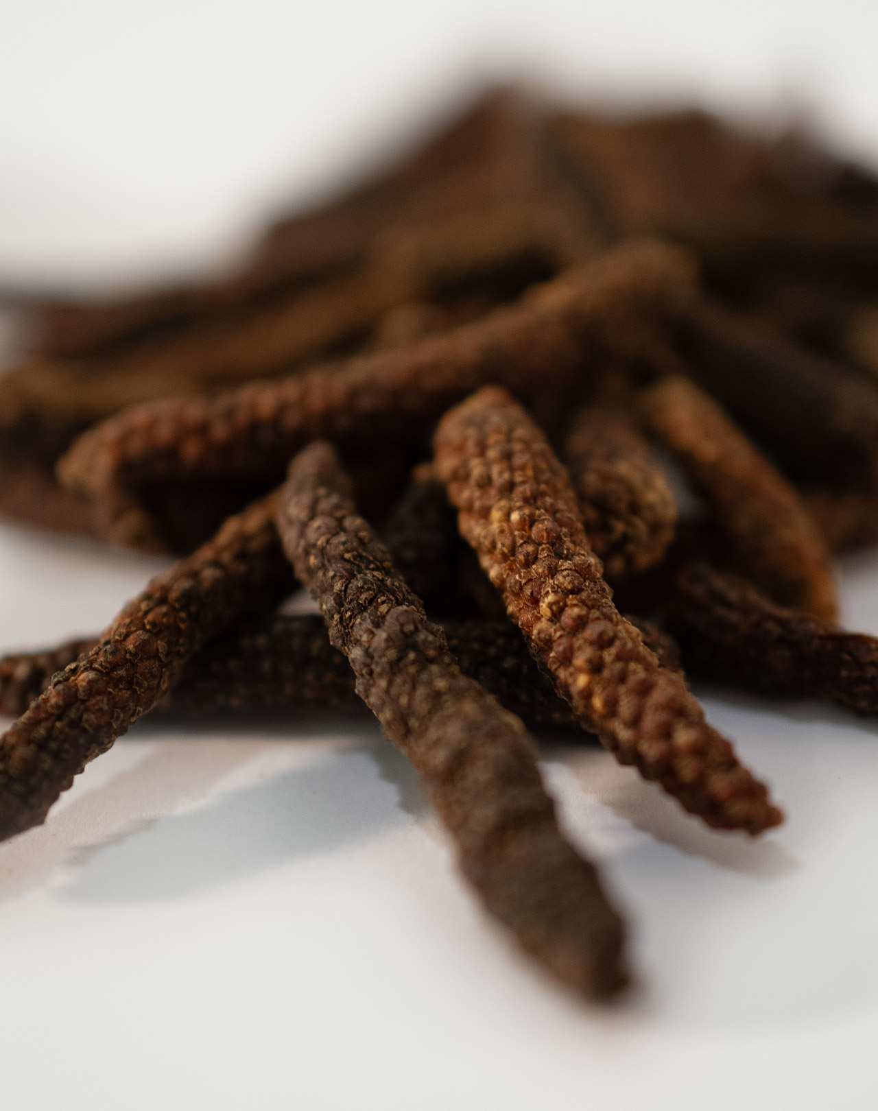 Roter Langer Pfeffer Roter Langer Pfeffer