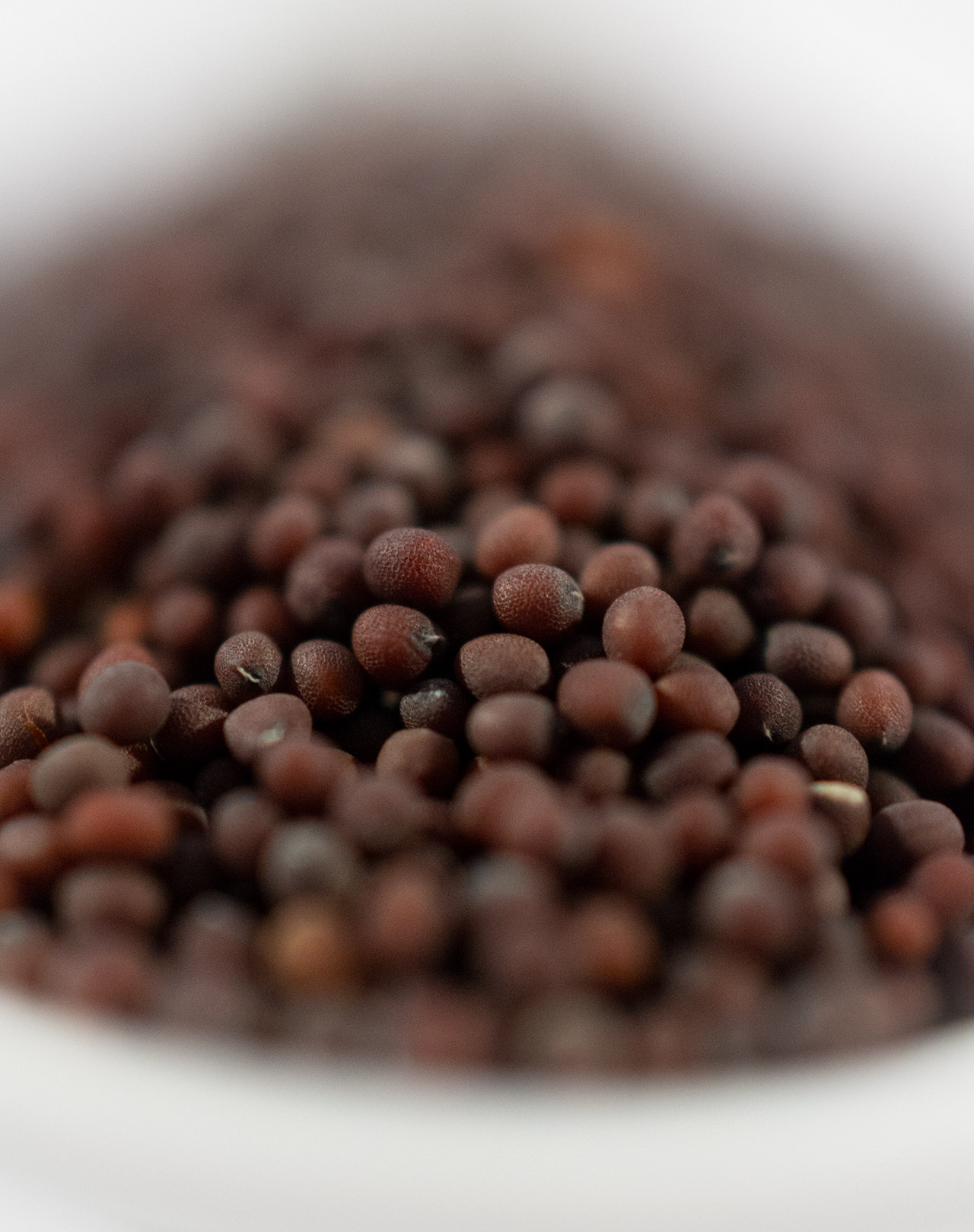 Senfkörner schwarz Senfkörner schwarz