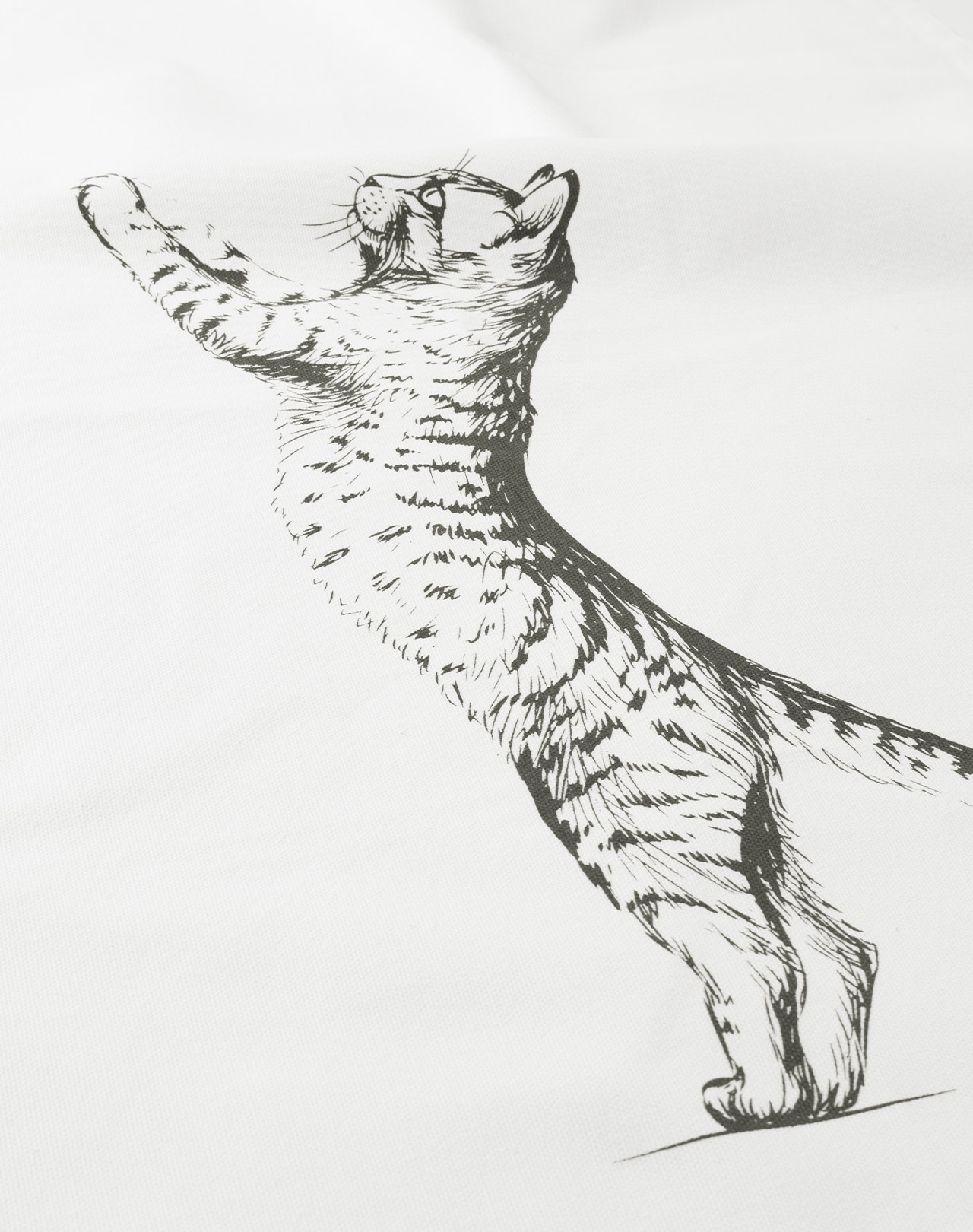 Geschirrtuch »Crazy Cat« 