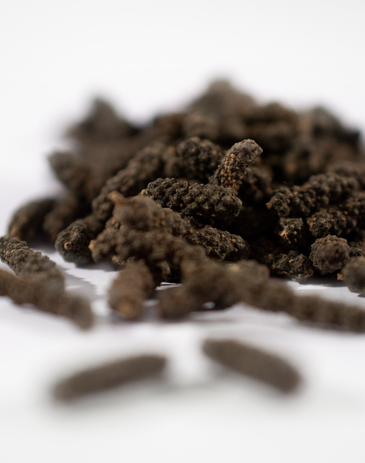 Schokoladenpfeffer (Langer Pfeffer) Schokoladenpfeffer (Langer Pfeffer)