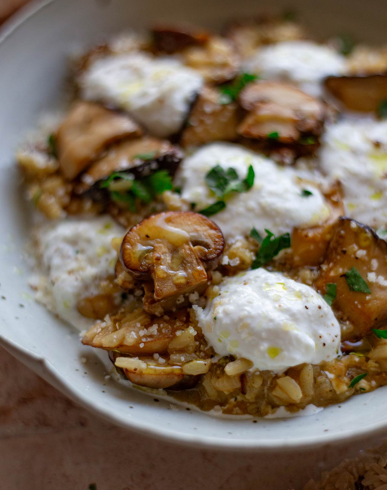 Steinpilz Risotto