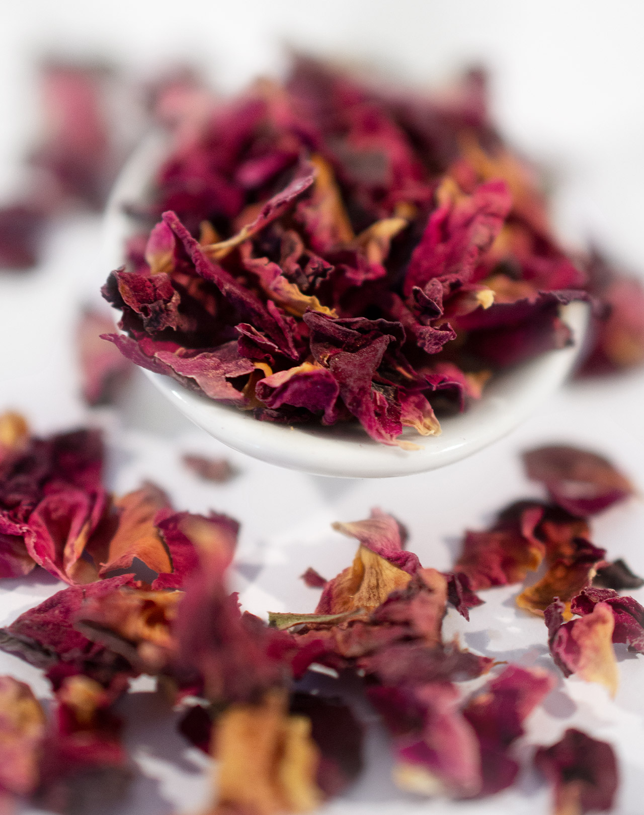 Zarte Rosenblätter Zarte Rosenblätter