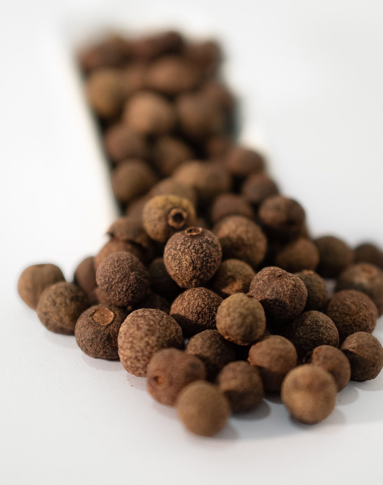 50g Rotkohlgewürz - VIOLAS' Gewürze & Delikatessen